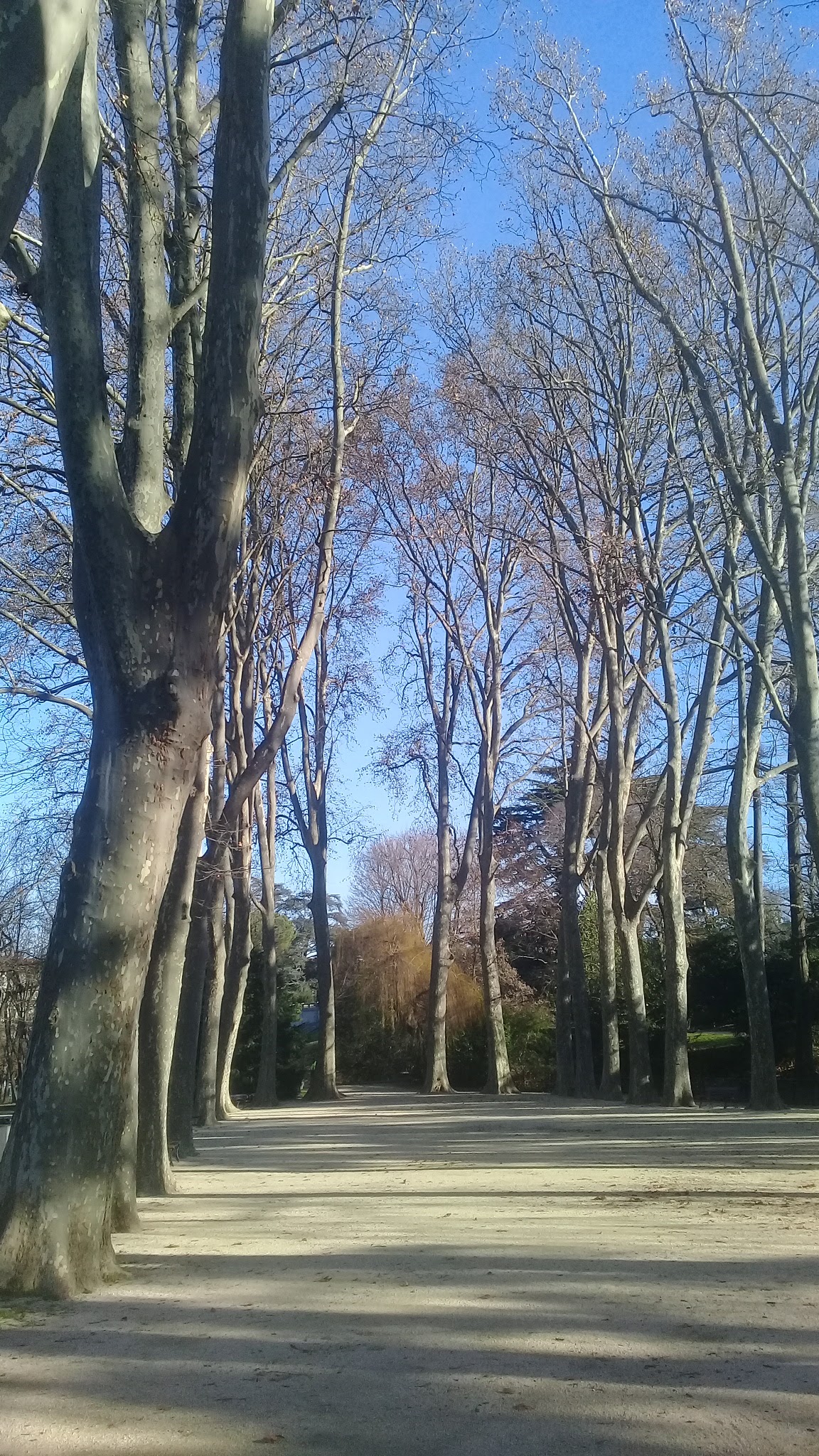 Photo n° 9 de l'avis de Jean-Baptiste.e fait le 05/01/2023 à 13:03