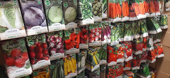 Sklep ogrodniczy z nasionami warzyw kwiatów ziół RajOgrodnika.pl - Kielce