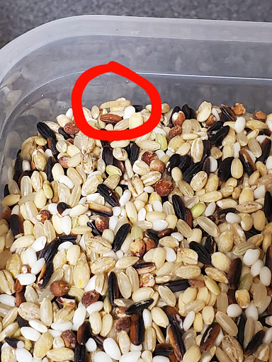 Korean Grocery Store «Korean Market», reviews and photos, 911 S Woodlawn Blvd, Wichita, KS 67218, USA