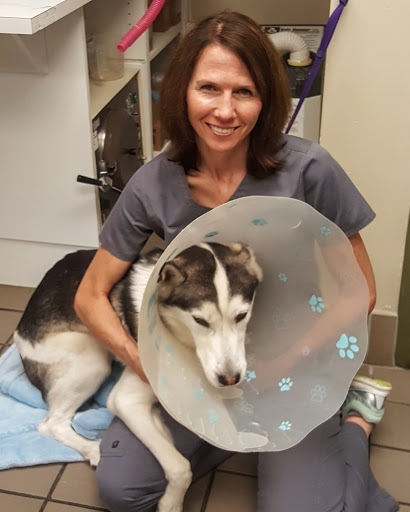 West End Veterinary Clinic image