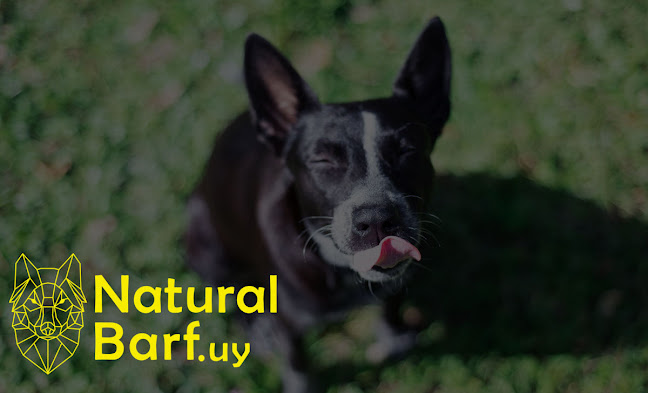 NaturalBarf.uy Comida para Perros en Maldonado - Tienda