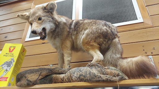 Outdoor Sports Store «Kittery Trading Post», reviews and photos, 301 US-1, Kittery, ME 03904, USA