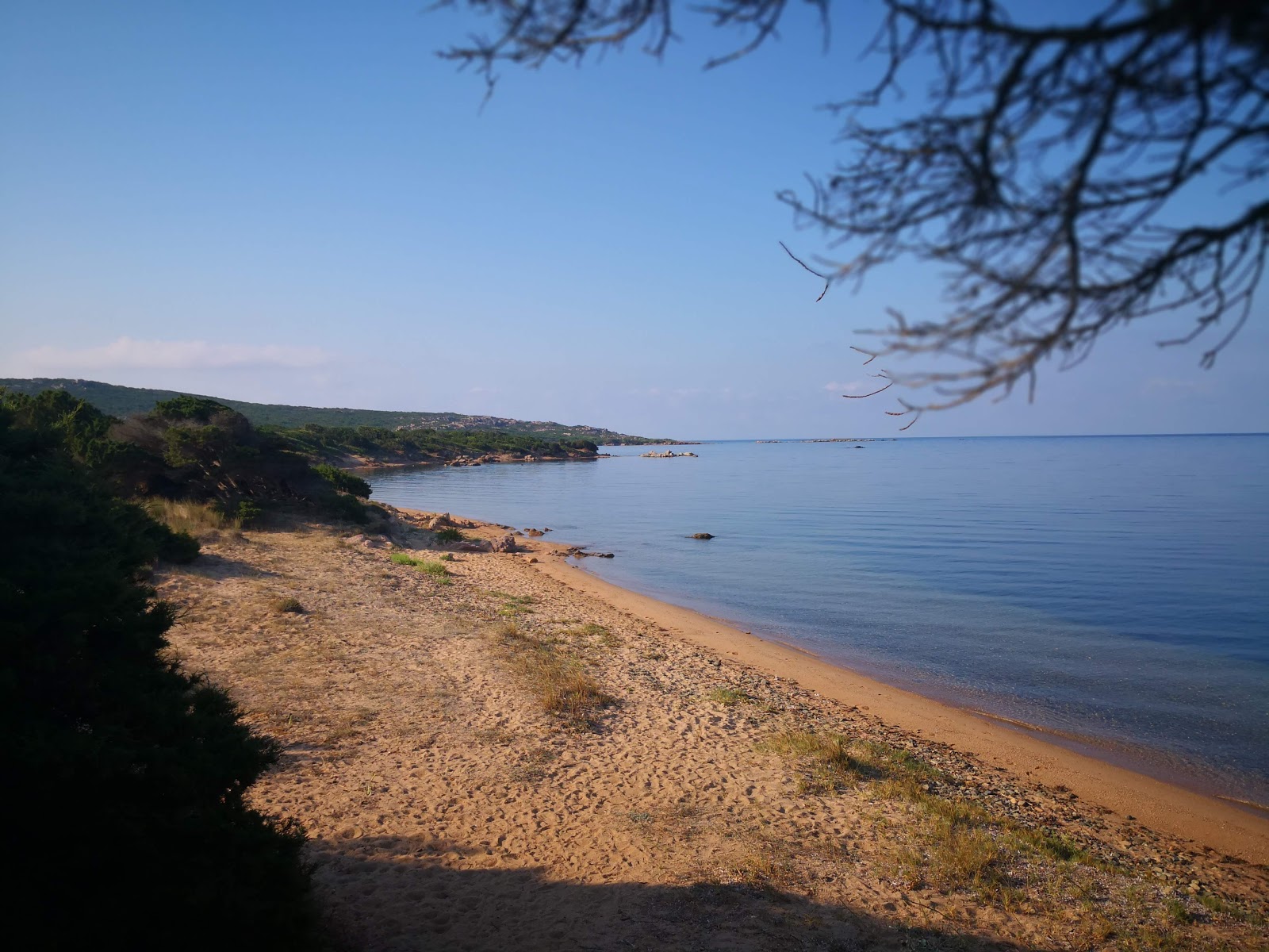 Zdjęcie Eole Figari dziki obszar