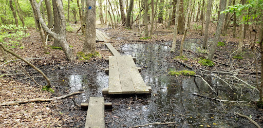 Nature Preserve «Eldora Nature Preserve», reviews and photos, 2350 NJ-47, Delmont, NJ 08314, USA