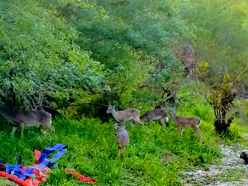 Park «Oakwell TrailHead Park», reviews and photos, 150 Ira Lee Rd, San Antonio, TX 78218, USA