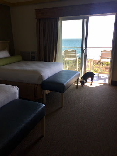 Hotel «The Inn at the Cove», reviews and photos, 2651 Price St, Pismo Beach, CA 93449, USA