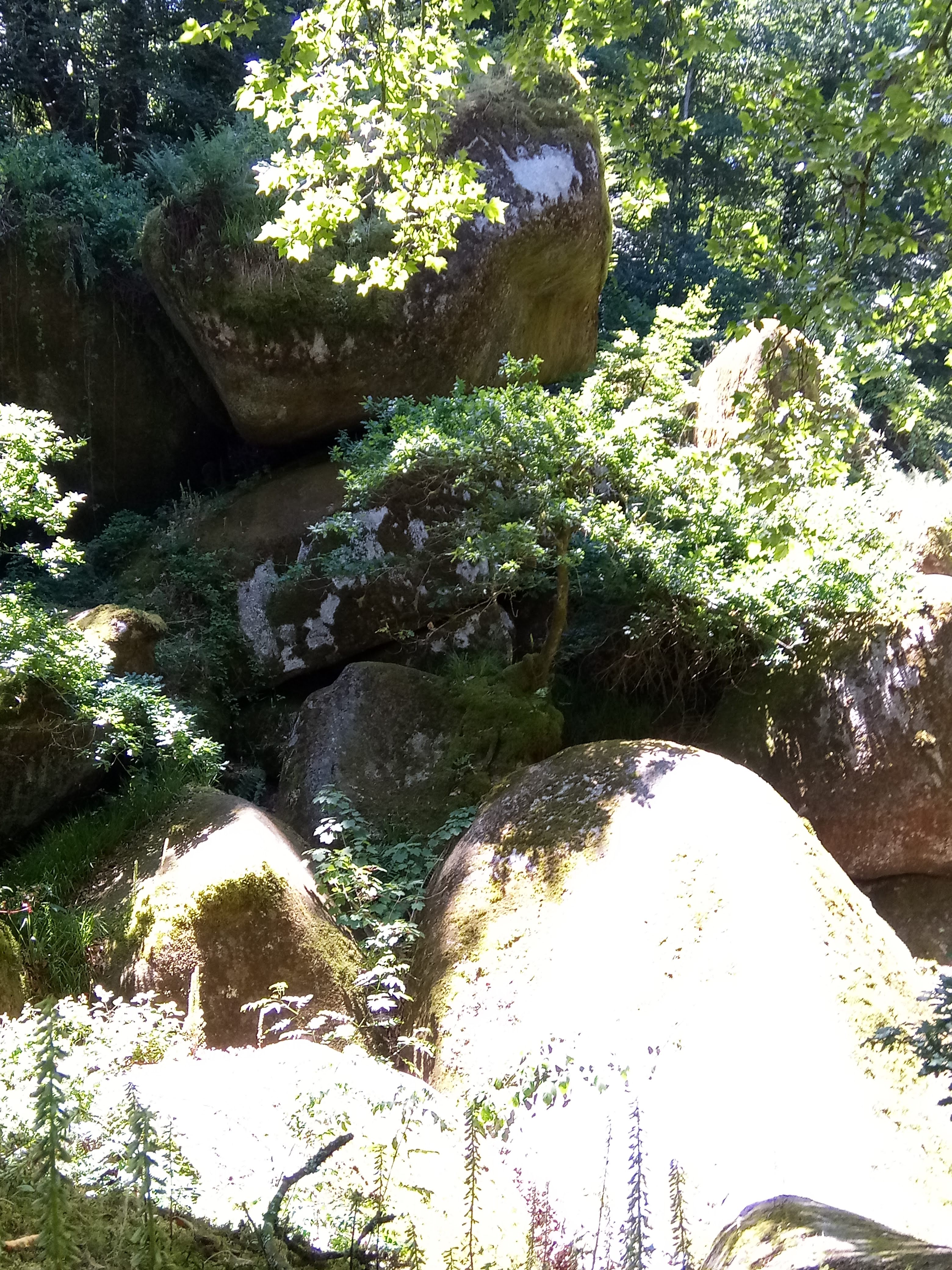 Photo n° 17 de l'avis de Christophe.n fait le 09/07/2018 à 16:57