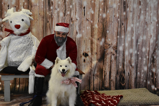 Pet Supply Store «Thomaston Feed of Cheshire», reviews and photos, 851 S Main St, Cheshire, CT 06410, USA