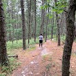 Manorville Hills County Park
