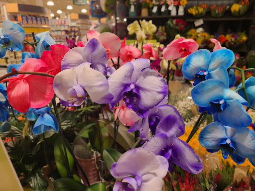 Supermarket «Publix Super Market at Forest Village Shopping Center», reviews and photos, 5032 Capital Cir SW Ste 1, Tallahassee, FL 32305, USA