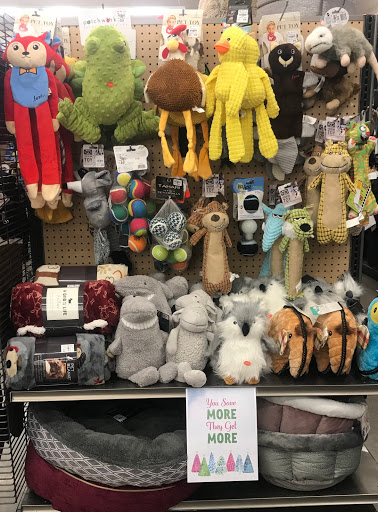 Home Goods Store «Tuesday Morning», reviews and photos, 1725 N Dysart Rd, Avondale, AZ 85392, USA