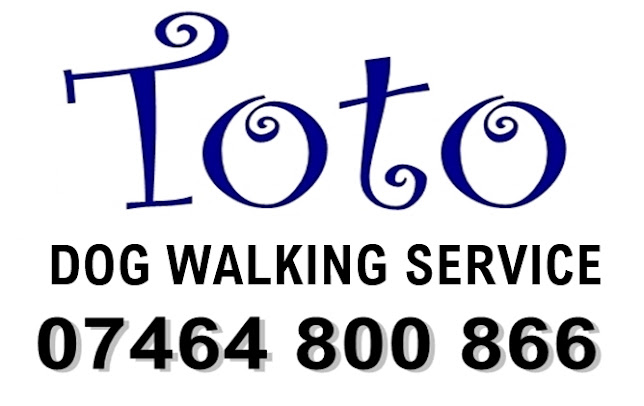 Toto Dog Walking Service
