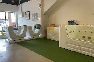 The Baby Spa image