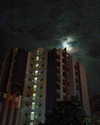 Google Maps image 15