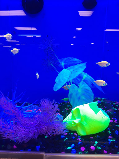 Pet Supply Store «PetSmart», reviews and photos, 2828 Campus Pkwy, Riverside, CA 92507, USA