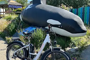 Orcas Bikes image