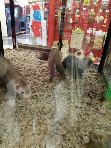 Pet Supply Store «Petco Animal Supplies», reviews and photos, 600 N Galleria Dr, Middletown, NY 10941, USA