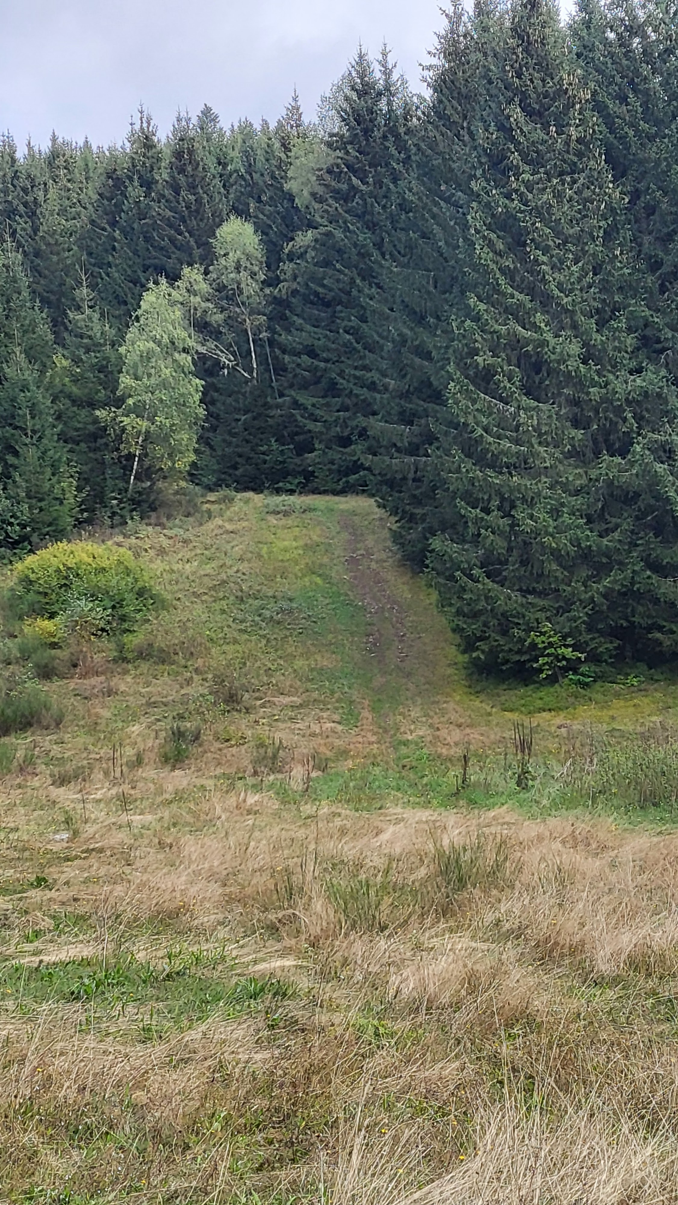 Photo n° 6 de l'avis de Clelia.a fait le 19/09/2023 à 18:22