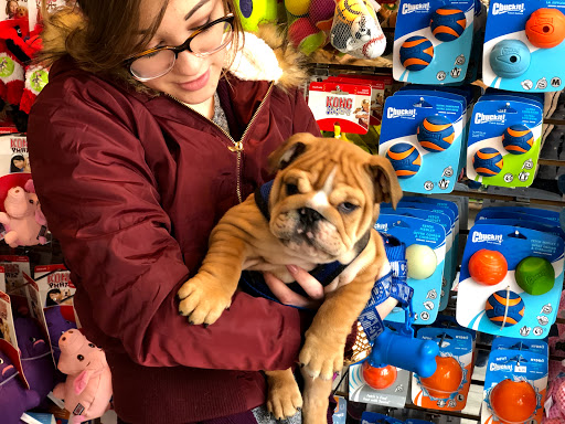 Pet Supply Store «Petport Pet Supply and Grooming Salon», reviews and photos, 40 Main St, Northport, NY 11768, USA
