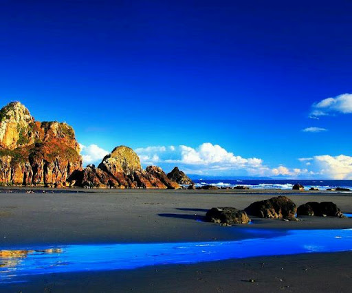 Spice of India, 3315 US-19, Holiday, FL 34691, USA, 