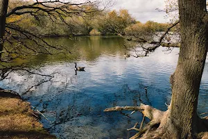 Brasside Pond image