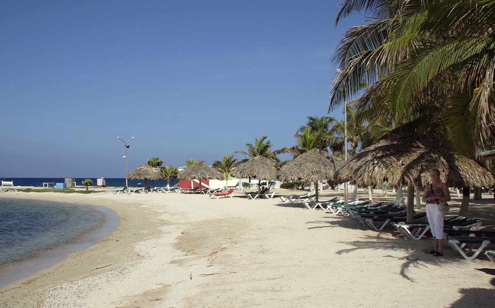 Foto di Mangrove beach con molto pulita livello di pulizia