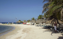 Mangrove beach'in fotoğrafı çok temiz temizlik seviyesi ile