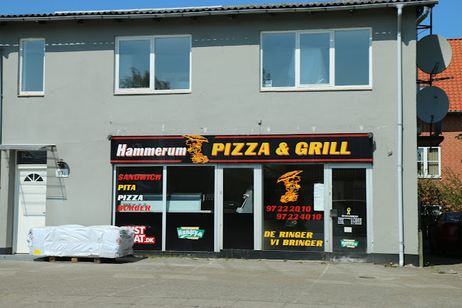 Hammerum Pizza og KebabHouse - Restaurant
