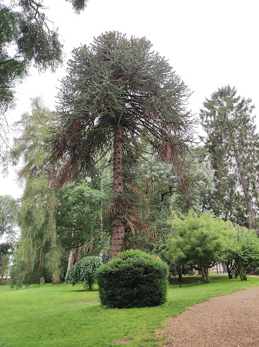 Parc Arboretum - Municipal de Cauffry à Cauffry
