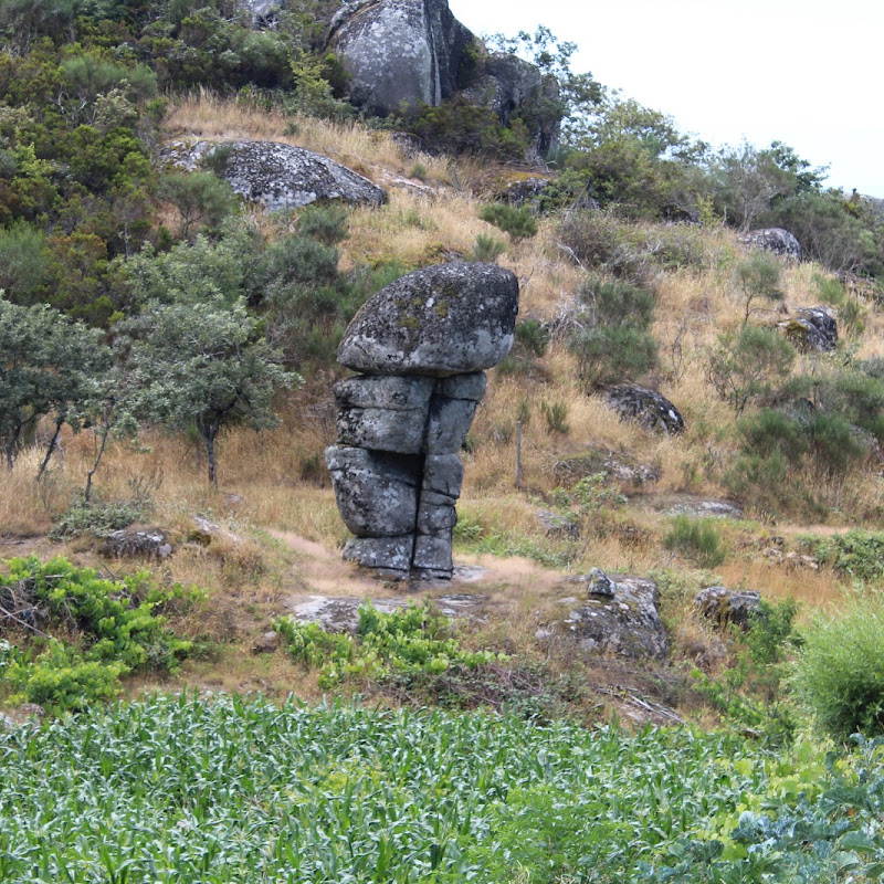 4 image