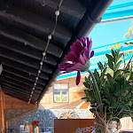 Photo n°5 de l'avis de Dominik.c fait le 19/08/2023 à 17:41 sur le  Königlich Bayrische Enzianhütte à Oberstaufen