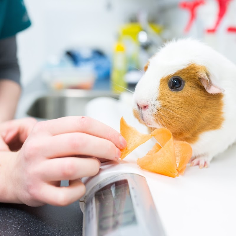 St Mary's Veterinary Surgery