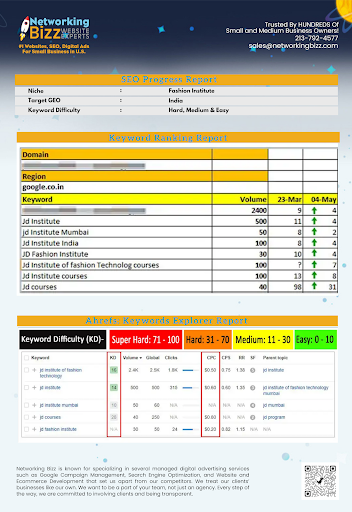 SEO Website Design Pasadena Networking Bizz image