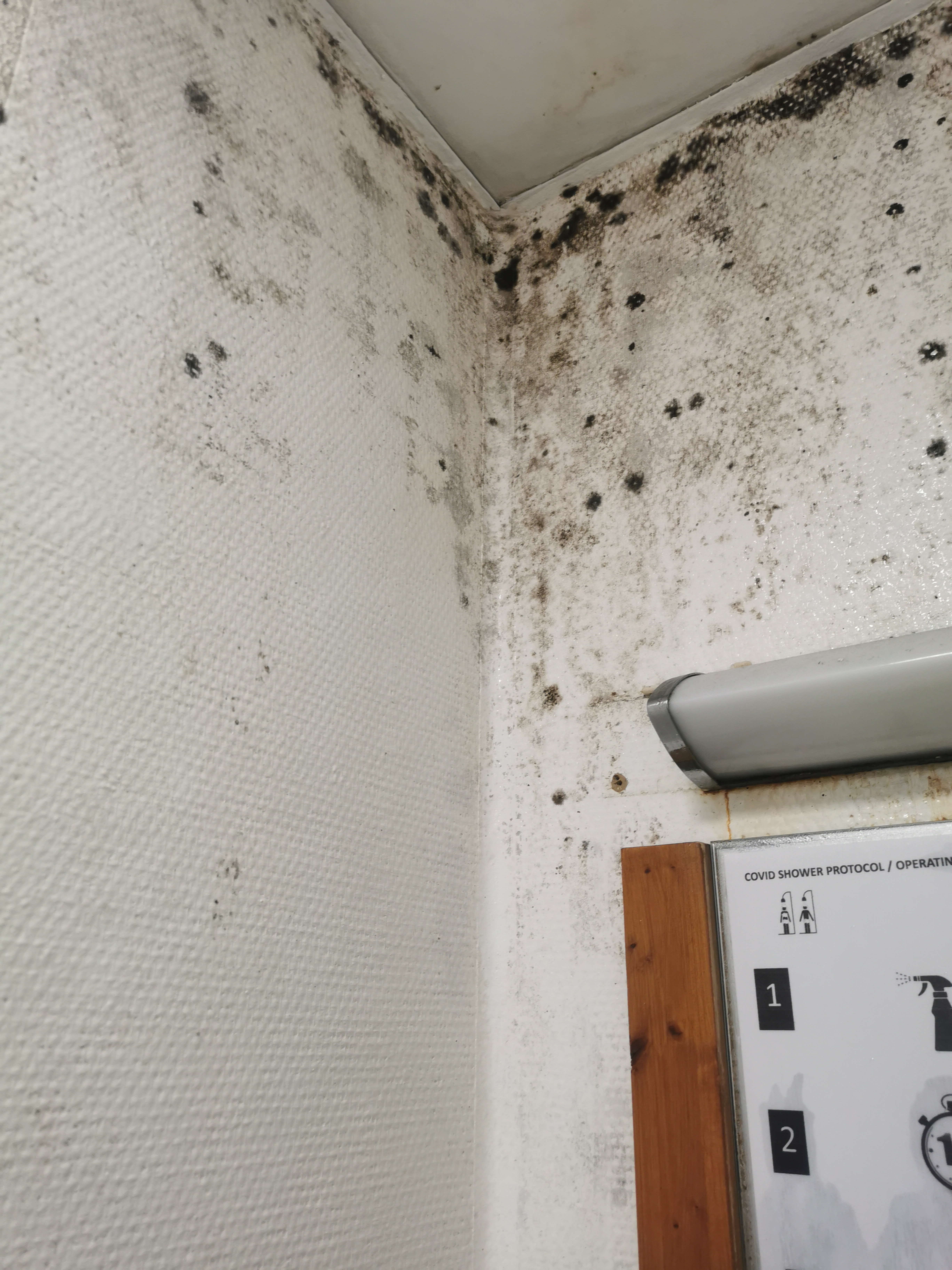 Photo n° 2 de l'avis de Flo.o fait le 26/05/2021 à 14:58