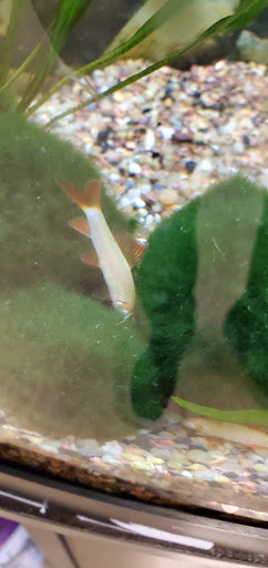 Pet Supply Store «PetSmart», reviews and photos, 5591 TN-153, Hixson, TN 37343, USA