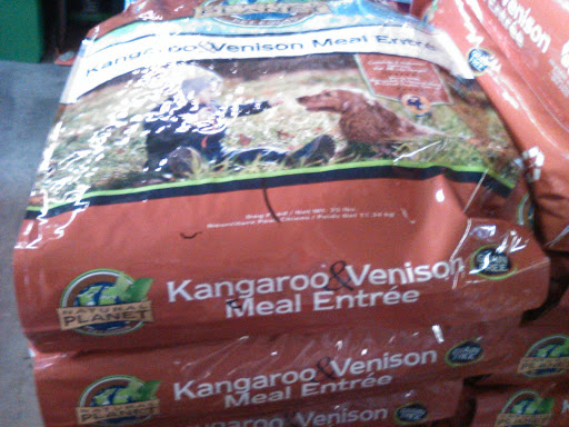 Thrift Store «Frugal Franks», reviews and photos, 126 Shove St, Fall River, MA 02724, USA