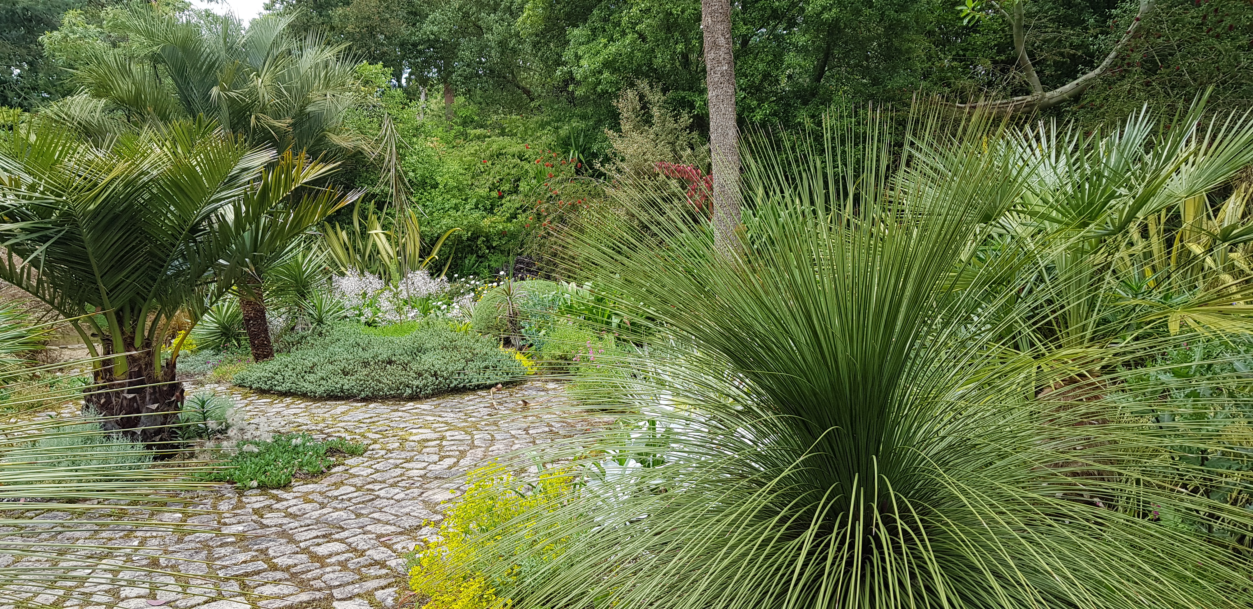 Photo n° 5 de l'avis de Ponsart.a fait le 23/06/2019 à 15:17