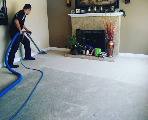 Vega Carpet Cleaning