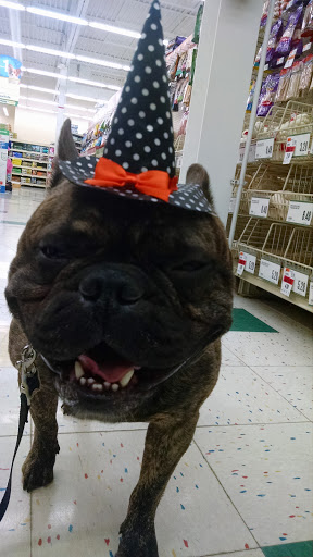 Pet Supply Store «Pet Supplies Plus», reviews and photos, 2424 W State St, Alliance, OH 44601, USA