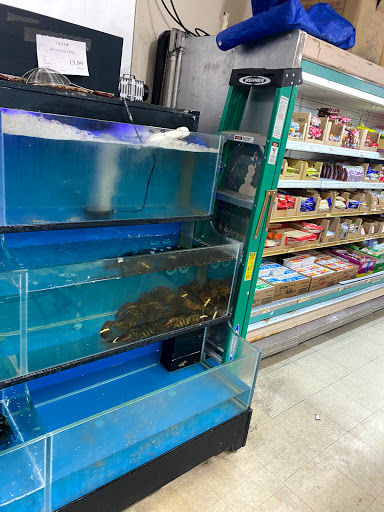 Asian Grocery Store «Viet Hoa Food Market», reviews and photos, 7100 Preston Hwy # 107, Louisville, KY 40219, USA