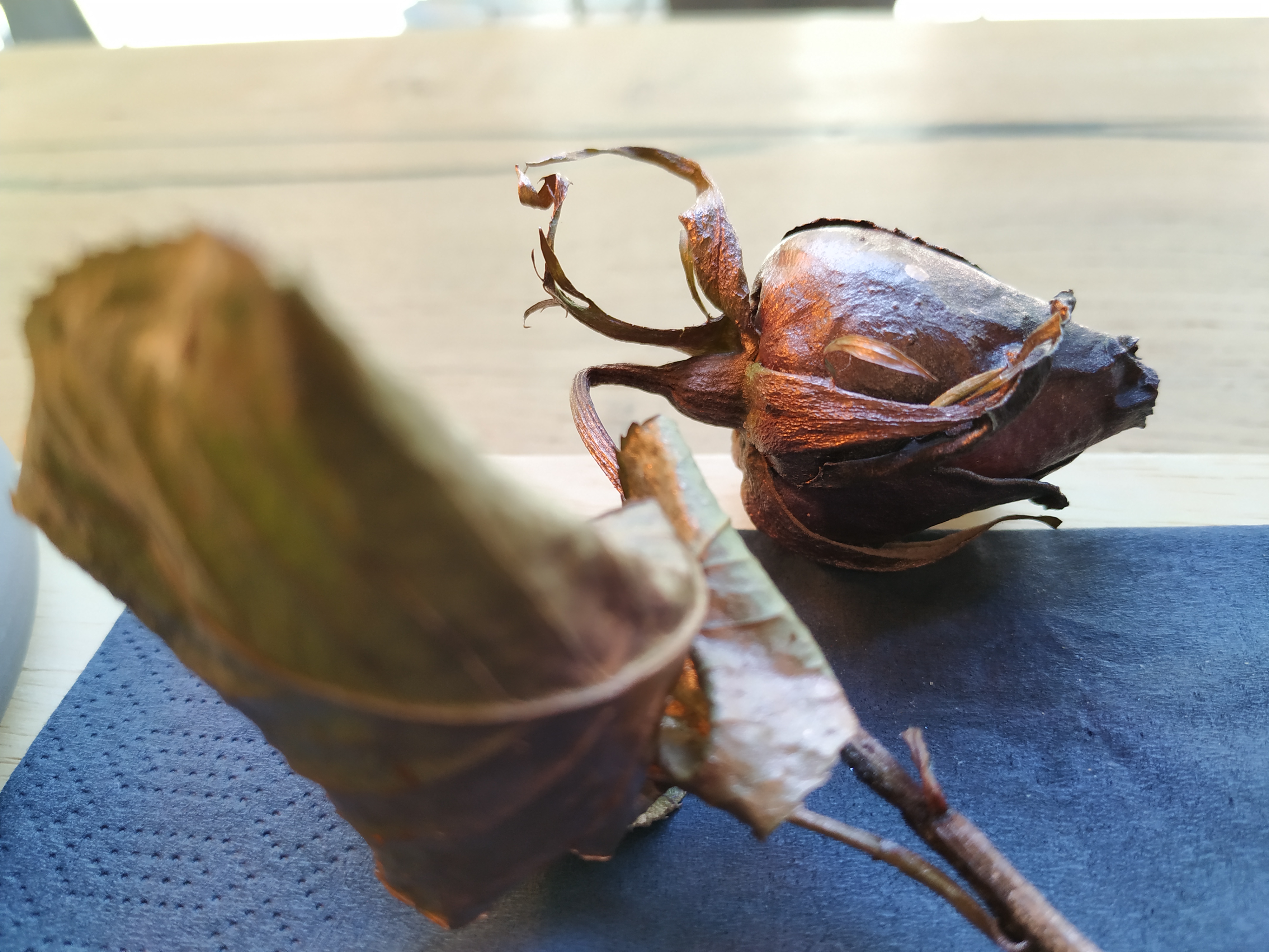 Photo n° 5 de l'avis de Chloé. fait le 09/06/2019 à 13:26