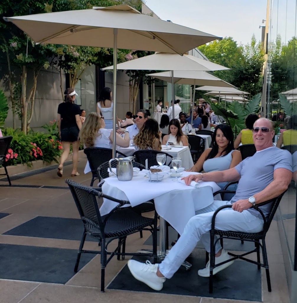 Cipollini Pronto 11030