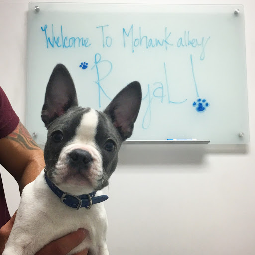 2162 W Sunset Blvd, Los Angeles, CA 90026, USA