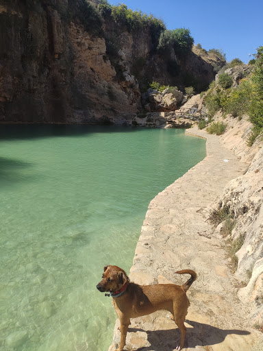 Clínica Veterinaria El Caroig en Navarrés