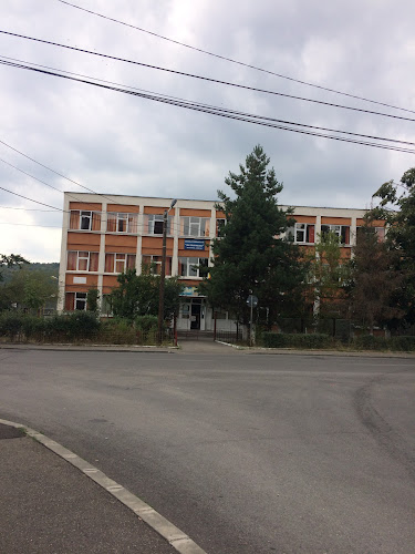 Comentarii opinii despre Școala Gimnazială Ion Câmpineanu