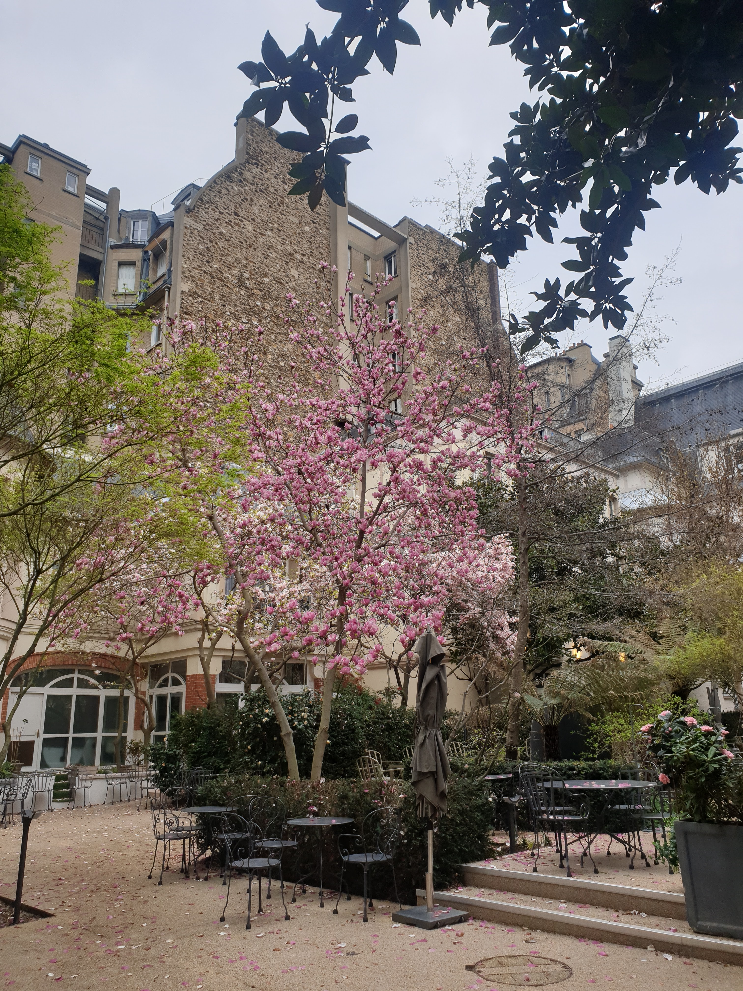 Photo n° 24 de l'avis de Marie-Anne.o fait le 27/03/2021 à 18:44