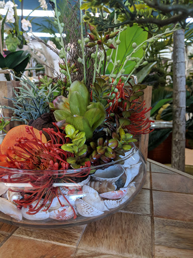 Florist «Flower City Florist», reviews and photos, 917 N Federal Hwy, Fort Lauderdale, FL 33304, USA