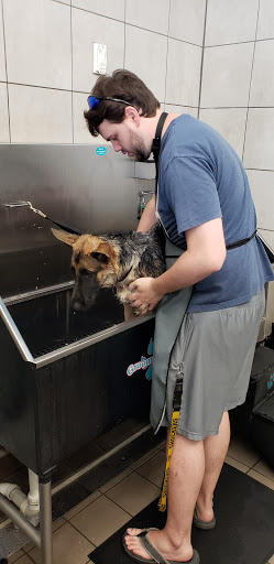 Pet Supply Store «Pet Supplies Plus», reviews and photos, 2250 N Rock Rd Ste. 110, Wichita, KS 67226, USA