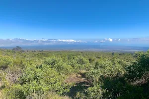 Mauna Loa Lookout image