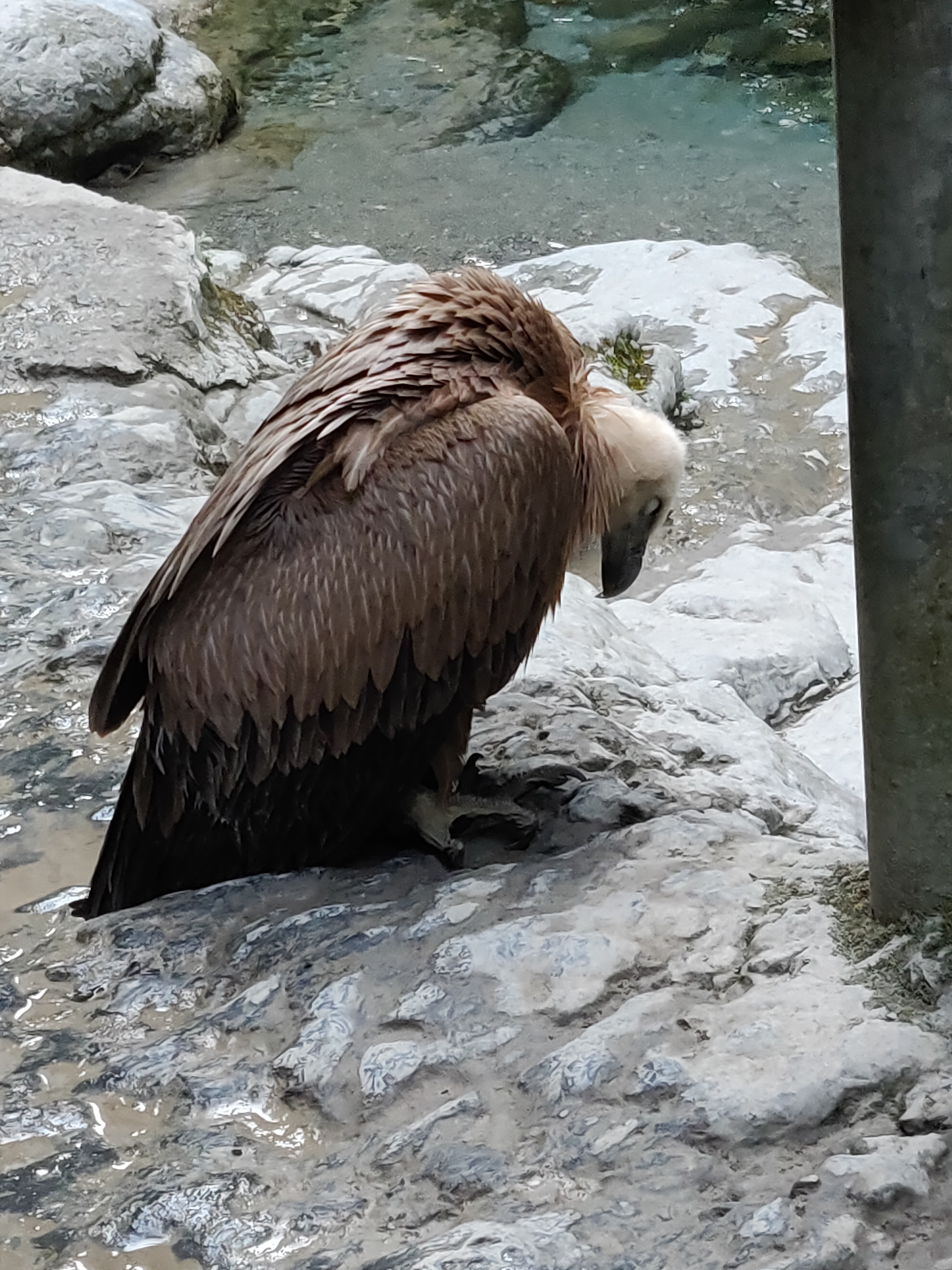 Photo n° 5 de l'avis de Valentin. fait le 05/09/2019 à 19:32